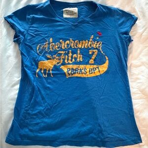 Abercrombie & Fitch Vibrant Blue V-Neck Tee